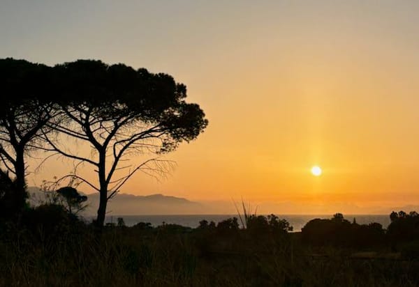 The Beginning of Our Spark in Sicily